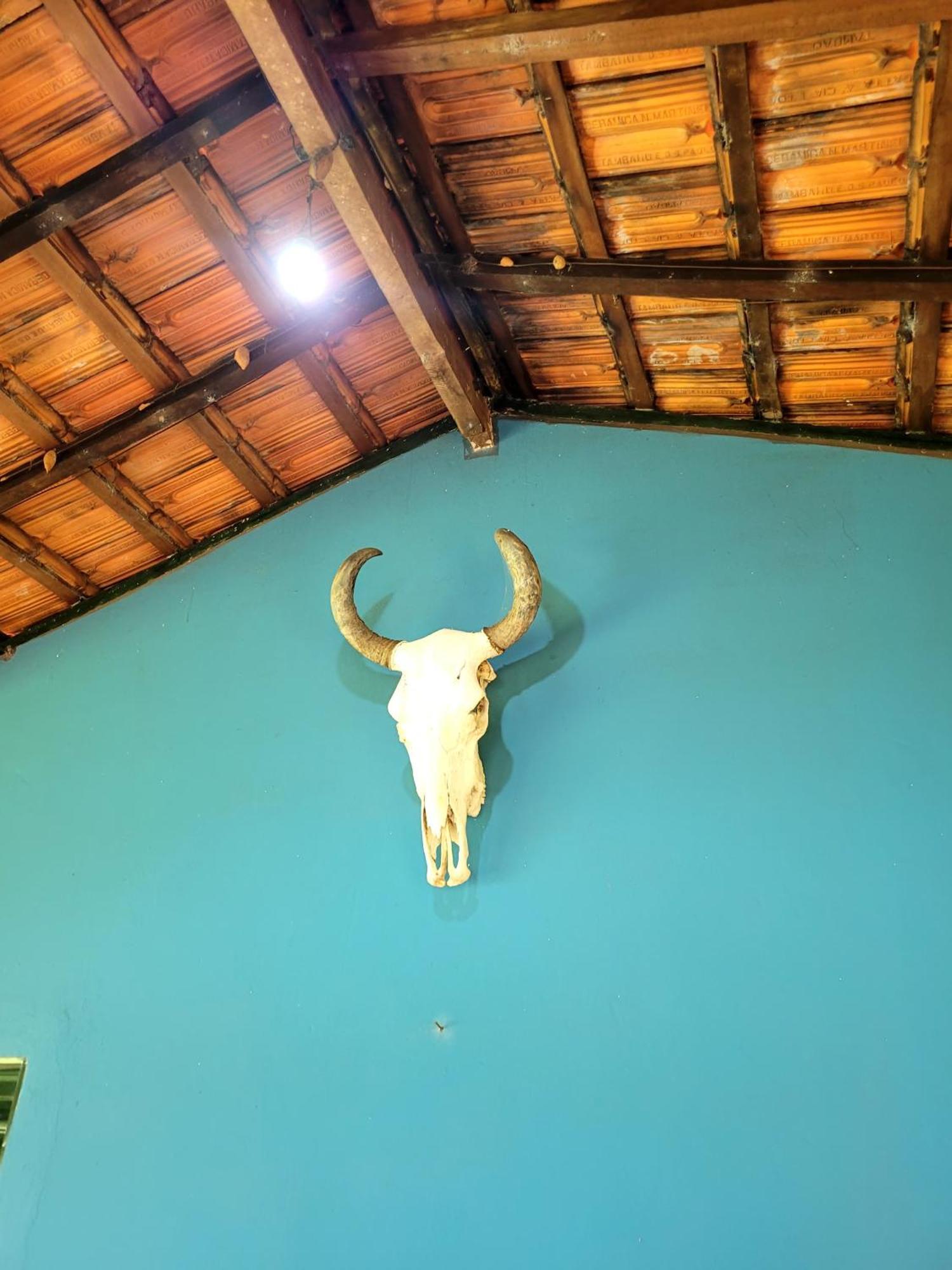 Pousada Fazenda São Pedro Delfinópolis Exterior foto