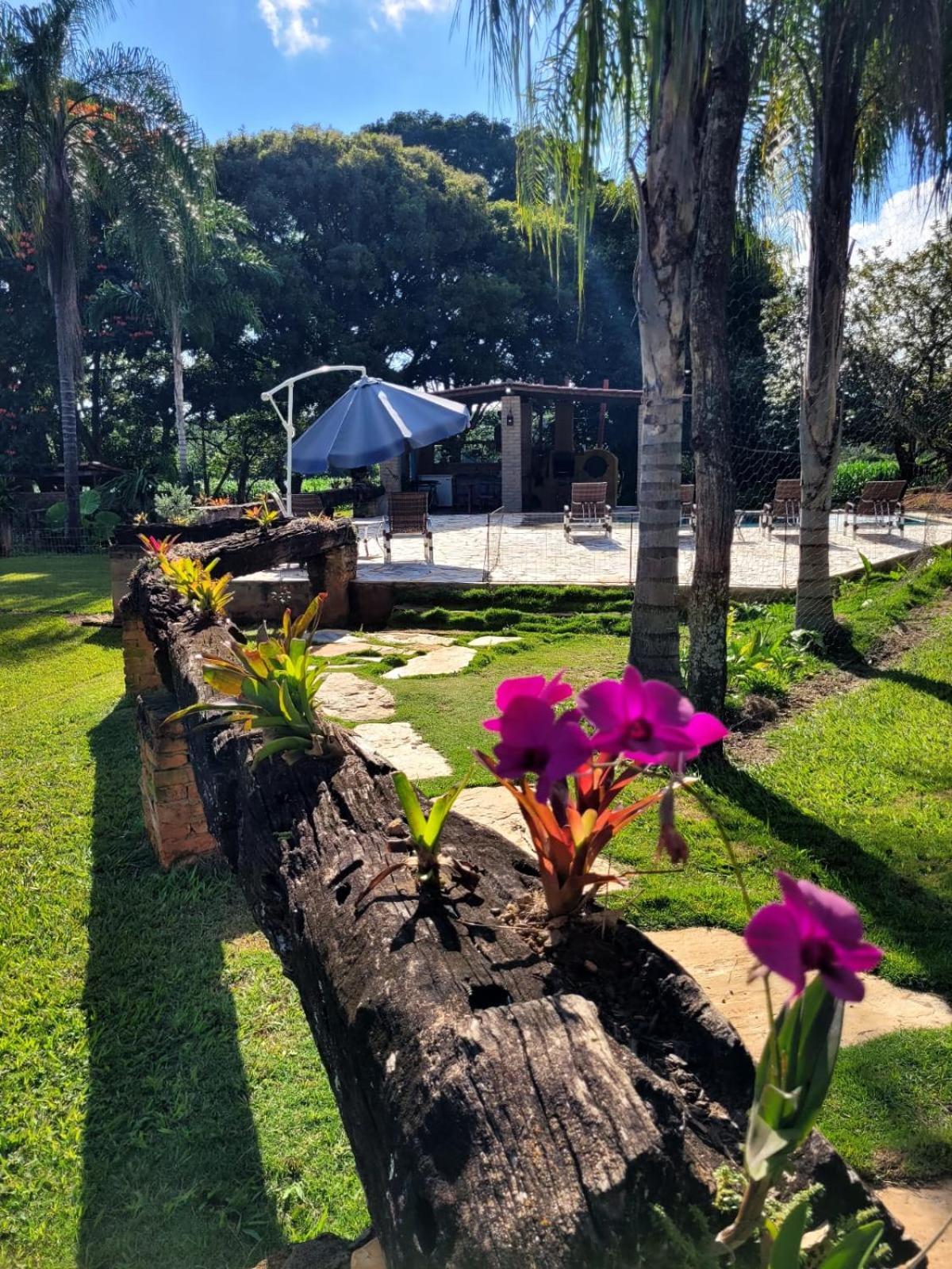 Pousada Fazenda São Pedro Delfinópolis Exterior foto